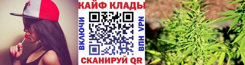 Купить наркотики Заволжск Альфа ПВП  Каннабис  Кокаин  Мефедрон  Гашиш 