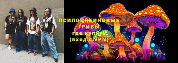 ПСИЛОЦИБИНОВЫЕ ГРИБЫ Армянск